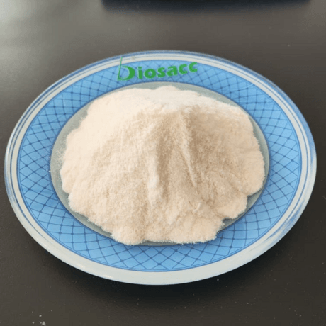 阿拉伯胶树（ACACIA SENEGAL）胶提取物 乳化剂 上光剂 胶粘剂等速溶阿拉伯胶粉