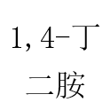 1,4-丁二胺