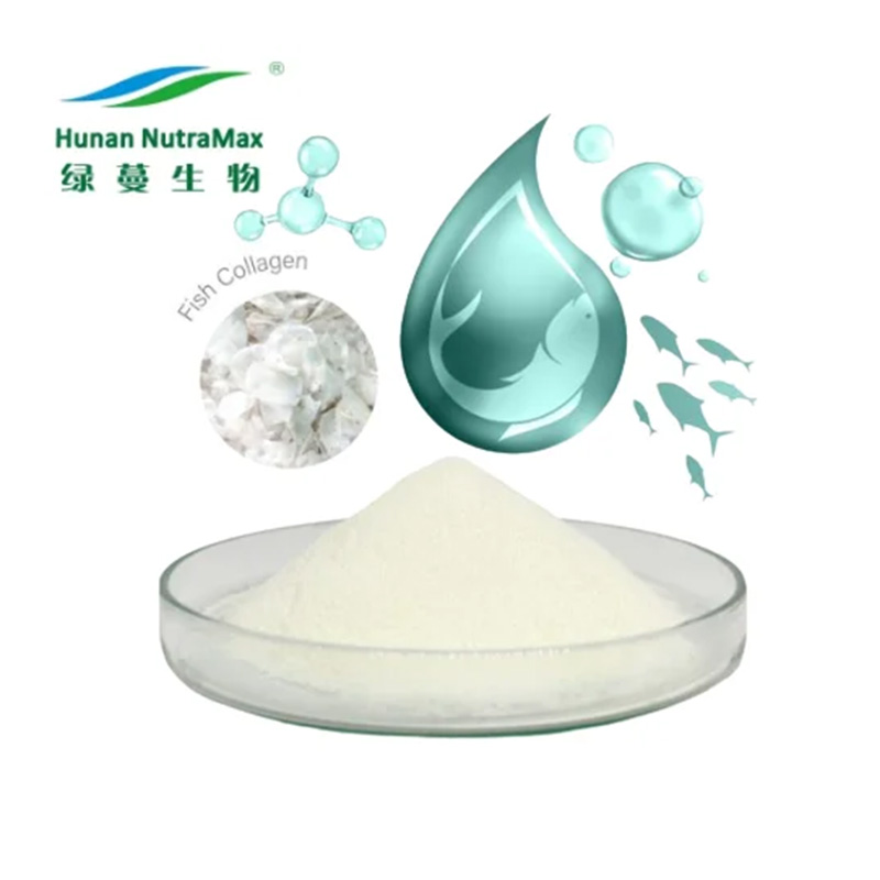 食品級?mèng)~(yú)膠原蛋白