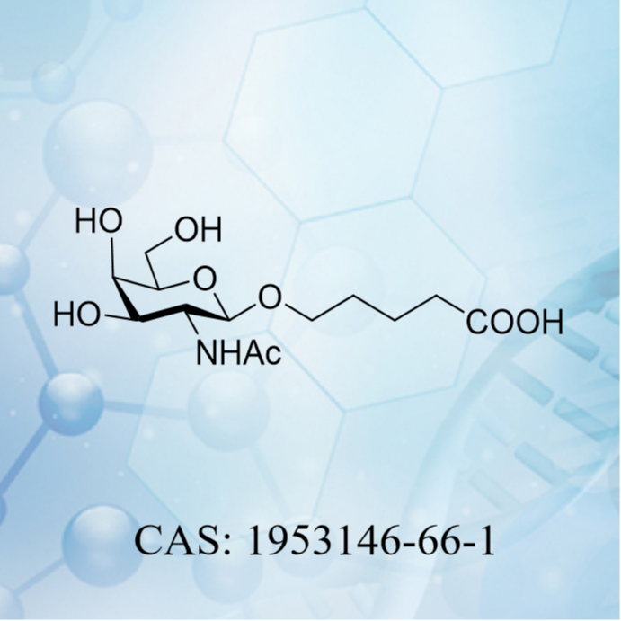 5-[(2-乙酰氨基-2-脱氧-β-D-吡喃半乳糖基)氧基]-戊酸 CAS：1953146-66-1