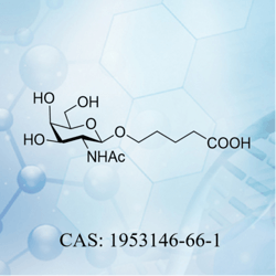 5-[(2-乙酰氨基-2-脱氧-β-D-吡喃半乳糖基)氧基]-戊酸 CAS：1953146-66-1