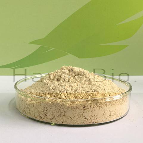 純化微粒化黃酮成份 (MPFF)