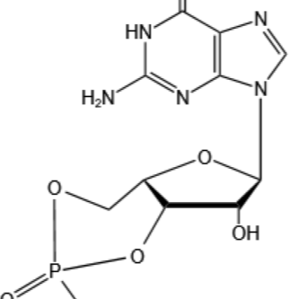 環(huán)磷鳥(niǎo)苷（cGMP）-CAS: 7665-99-8-杭州美亞藥業(yè)