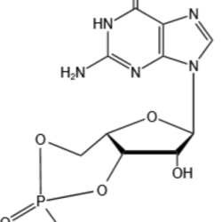 环磷鸟苷（cGMP）-CAS: 7665-99-8-杭州美亚药业