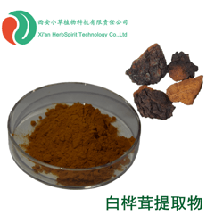 白桦茸提取物 白桦茸多糖 水溶白桦茸粉