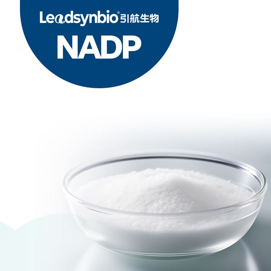 煙酰胺腺嘌呤雙核苷酸磷酸鹽 NADP+