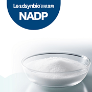 烟酰胺腺嘌呤双核苷酸磷酸盐 NADP+