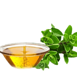 Allicin oil &powder