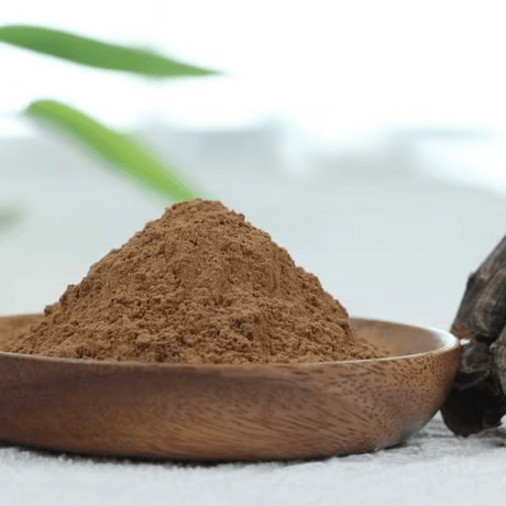 有机云芝提取物12:1