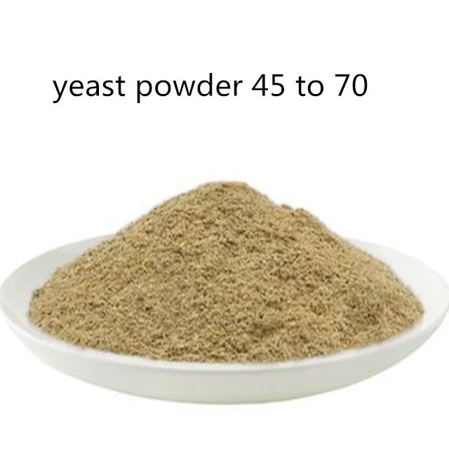 YEAST POWDER