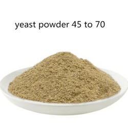 YEAST POWDER