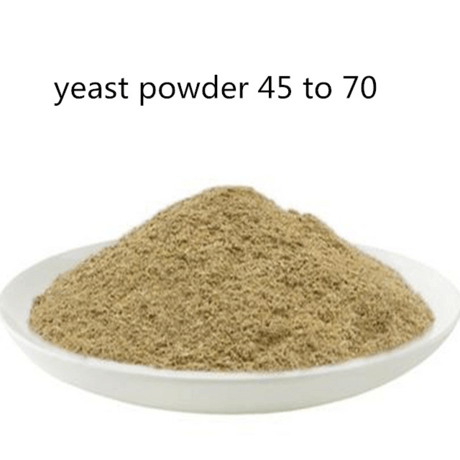 YEAST POWDER