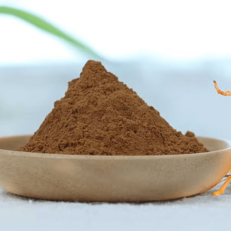 有机蛹虫草提取物8:1