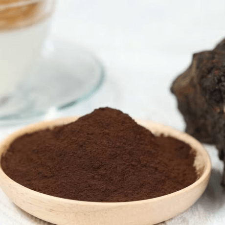 有机白桦茸提取物8:1