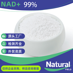 烟酰胺腺嘌呤二核苷酸NAD+