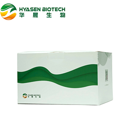 CHO DNA ASSAY KIT