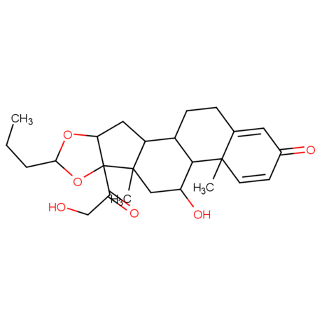 布地奈德 Budesonide