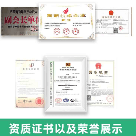 车前草提取物 车前子提取物