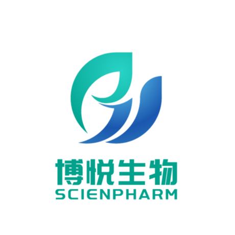 瑞卢戈利