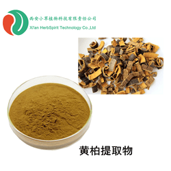 黃柏提取物 黃連素 鹽酸小檗堿