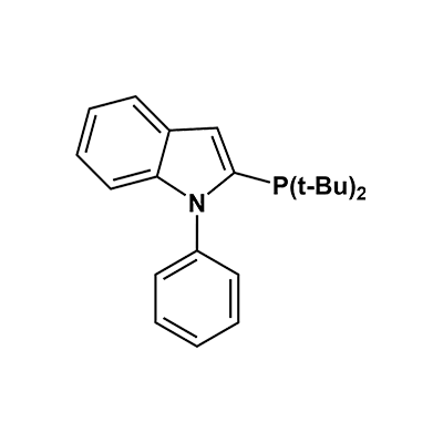 N-苯基-2-(二叔丁基膦基)吲哚