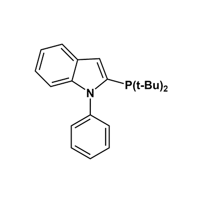 N-苯基-2-(二叔丁基膦基)吲哚