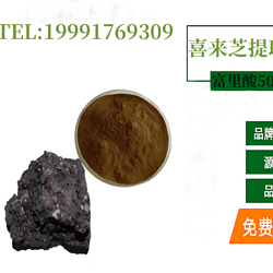喜来芝提取物   富里酸60%