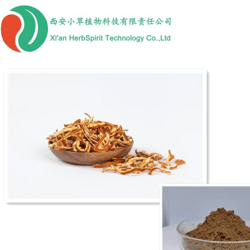 陈皮粉
