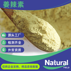 姜辣素（生姜提取物）Ginger Extract