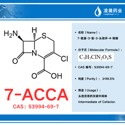 7-ACCA（纯度≥98.5%）（7-氨基-3-氯-3-头孢环-4-羧酸）头孢克洛关键中间体