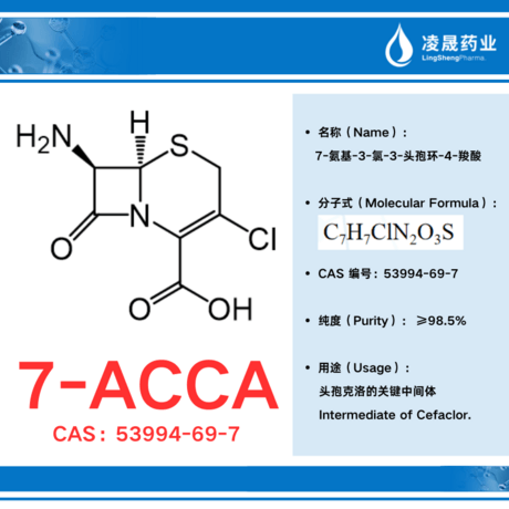 7-ACCA（纯度≥98.5%）（7-氨基-3-氯-3-头孢环-4-羧酸）头孢克洛关键中间体
