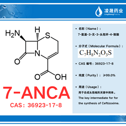 7-ANCA（纯度：≥99.0%）7-氨基-3-无-3-头孢环-4-羧酸 合成头孢唑肟的关键中间体