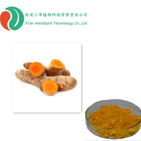 姜黄提取物 姜黄素