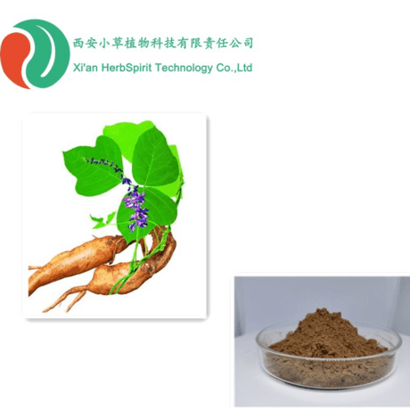 葛根提取物 葛根素 葛根异黄酮
