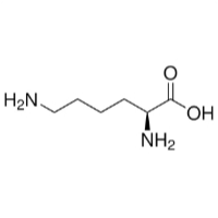 L-Lysine Base  L-賴(lài)氨酸