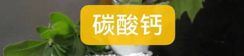 江西创先精细钙业有限公司