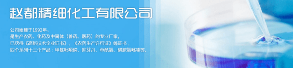 邯郸市赵都精细化工有限公司