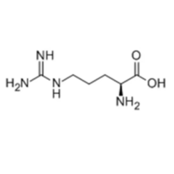 L-Arginine Base L-精氨酸