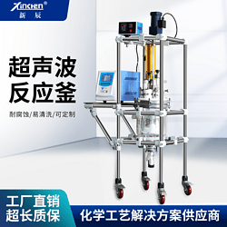 超声反应釜5L