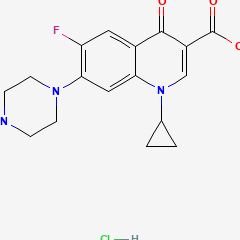 Ciprofloxacin Hydrochloride Tablets盐酸环丙沙星片