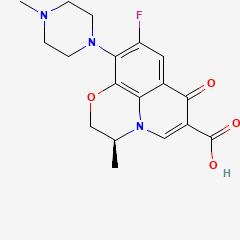 Levofloxacin Hydrochloride Tablets盐酸左氧氟沙星片