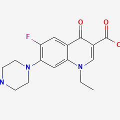 Norfloxacin Capsules诺氟沙星胶囊