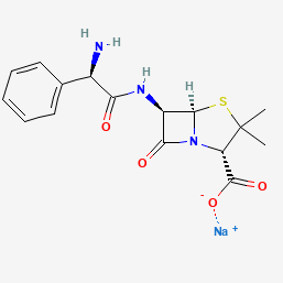 Ampicillin Sodium for Injection 注射用氨苄西林钠