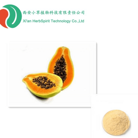 木瓜粉 木瓜提取物
