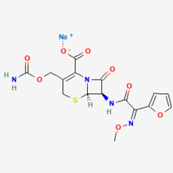 Cefuroxime Sodium for Injection 注射用头孢呋辛钠
