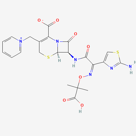 Ceftazidime for Injection 注射用头孢他啶