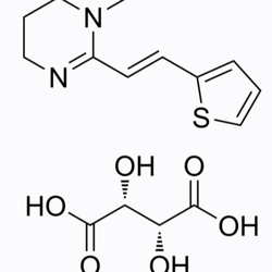 酒石酸噻嘧啶