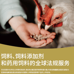 全球饲料添加剂登记服务