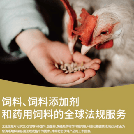 全球饲料添加剂登记服务