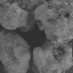 甘露醇 200SD